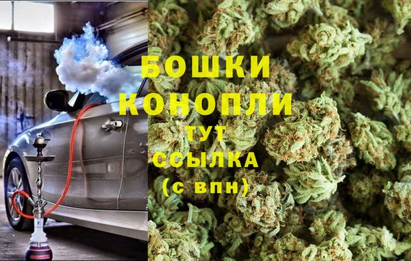 тгк Аркадак