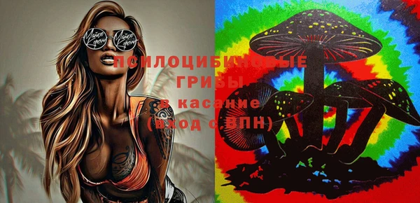 эйфоретик Арсеньев