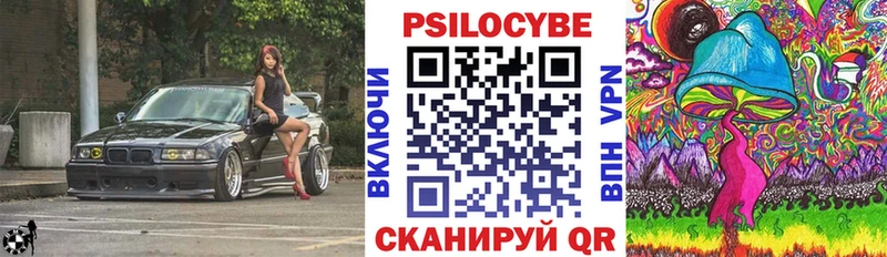 Псилоцибиновые грибы Psilocybe  Талдом 