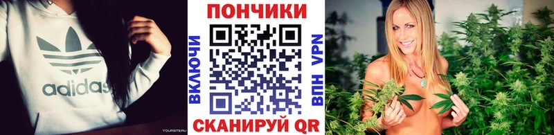 гидра tor  Талдом  нарко площадка какой сайт  что такое наркотик  Конопля SATIVA & INDICA 
